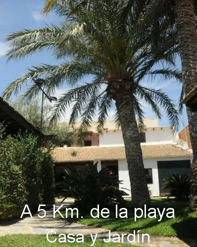 Palm Trees&Sun Bed
