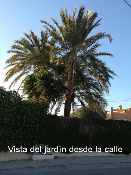 Palm Trees&sun Bed Séjour chez l'habitant Balsares