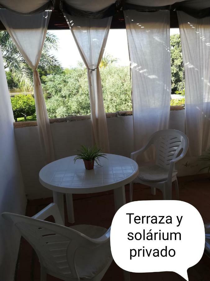 Séjour chez l'habitant Palm Trees&sun Bed *
