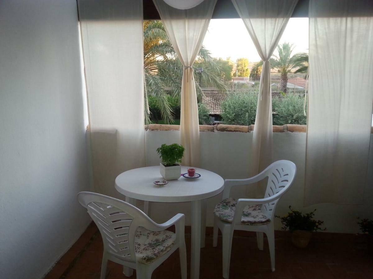 Homestay Sun & Palm Trees *