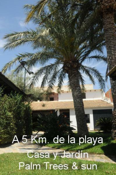 Sun & Palm Trees Homestay Balsares