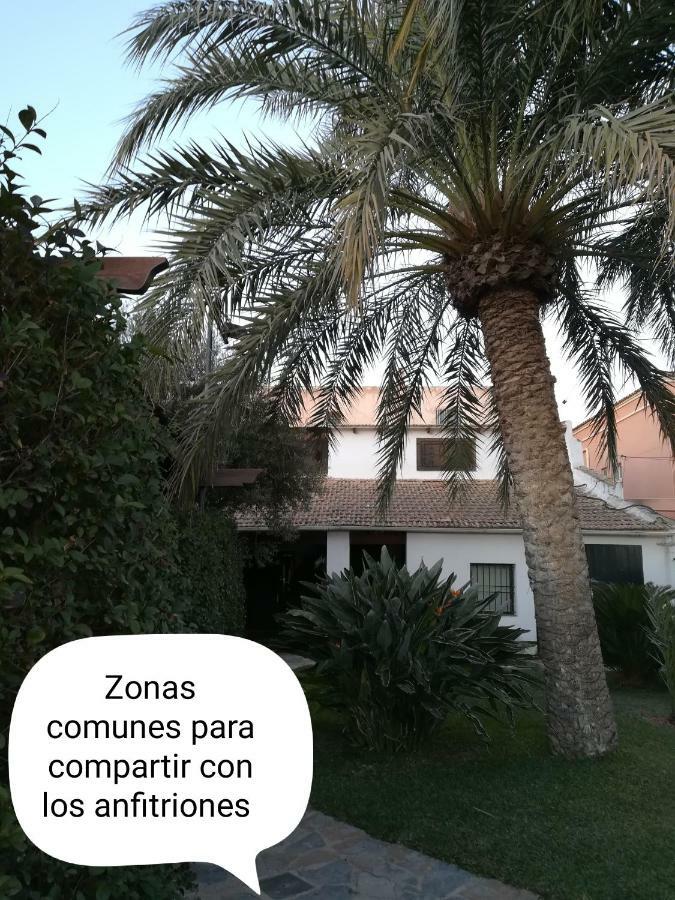 Homestay Sun & Palm Trees *